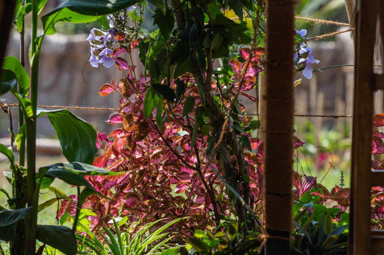 Radhika Eco Resort アランボル エクステリア 写真